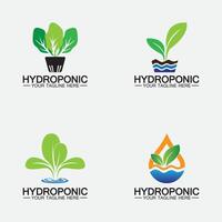 hydroponiska logotyp vektor ikon illustration design