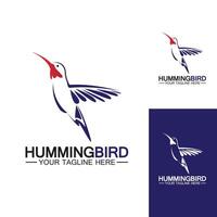 hummingbird logotyp design vektor mall