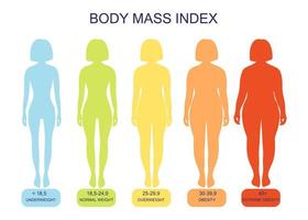 body mass index från underviktiga till extremt feta. vektor