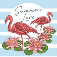 FLAMINGO-VOGEL-ROSA SOMMER-VEKTOR vektor