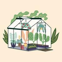 glas modernt växthus med trädgårdsväxter. trädgård lockig murgröna och blomkrukor. vinter glas trädgård, hus växthus med plantage. rummet är i grönt. trädgårdsarbete på tomten. vektor