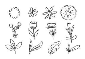 eine Sammlung handgezeichneter Blumenbilder wie Glockenblumen, Chrysanthemen, Sonnenblumen, Baumwollblumen und tropische Blätter vektor