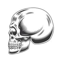 Totenkopf Kopf Seitenlinie Kunst Vintage Tattoo oder Print Design Vektor Illustration.