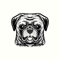 illustration hand ritning mops hund vintage vektor