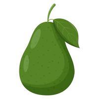 ganze Avocado isoliert auf weißem Hintergrund. flache vektorillustration vektor