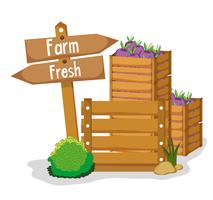 Jordbruk färska produkter vektor