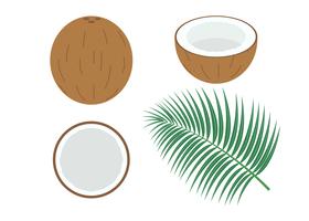 Vector Illustration der frischen Kokosnuss des Satzes, die auf weißem Hintergrund lokalisiert wird