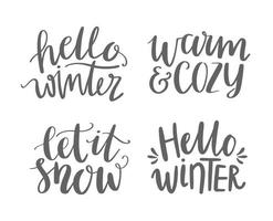 eine Sammlung handgeschriebener Winterphrasen. Hallo Winter, warm und gemütlich, lass Schnee rein. satz von handgezeichneten wörtern des vektors. Designs für Grußkarten, T-Shirts, soziale Medien. vektor