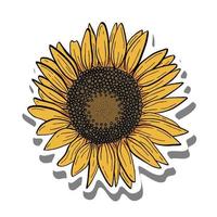 Sonnenblume mit schwarzer Linie. gelbe Blütenblätter und braune Samen auf weißer Silhouette und grauem Schatten. vektorillustration für dekorieren logo, text, grußkarten und jedes design. vektor