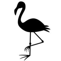 süßer flamingo isoliert. vektor