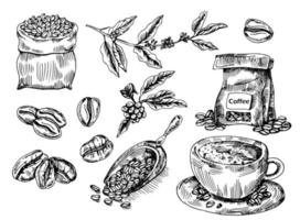 kaffeeset mit kaffeezweig, kaffeebohnen, kaffee, kaffeekugel. hand gezeichnete vektorillustration im skizzenstil. Tinte gezeichnet. vektor