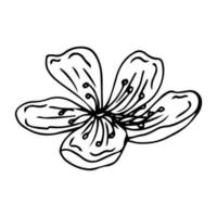 Sakura-Symbol Vektor Symbol Design Illustration