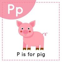 Englisches Alphabet lernen für Kinder. Buchstabe p. süßes Cartoon-Schwein. vektor