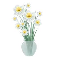 Blühender Blumenstrauß aus weißen Narzissenblumen in einer Vase, Vektorgrafik