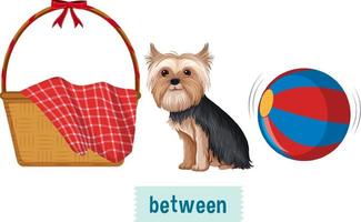 preposition ordkort med hund och boll vektor