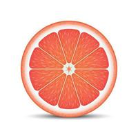 realistische Grapefruitscheibe vektor