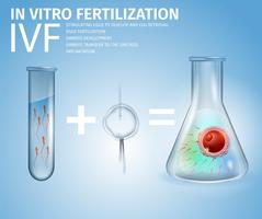 In vitro fertilization Formula vektor