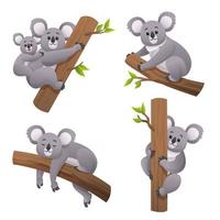 söt koala i olika poser tecknad illustration vektor