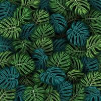 tropiska sommarlöv bakgrund med djungelväxter vektor