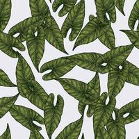 gravyr blad araceae seamless mönster. vintage lämnar bakgrund. vektor