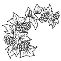 ukrainisches Symbol. Viburnum-Zweig. Pflanzenzweig, Trauben, Beeren und Blätter. Vektor-Illustration. handgezeichnet im Doodle-Stil. für Design und Dekoration botanischer oder ukrainischer Themen vektor