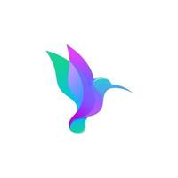 abstrakt färgglada kolibri colibri fågel logotyp linje kontur monoline vektor ikon illustration