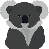 koala björn djur vektorillustration vektor
