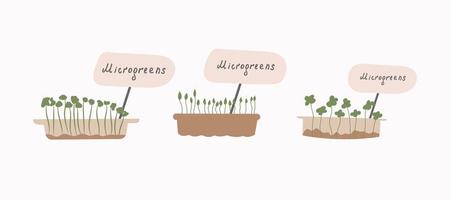 Micro-Greens-Set. . das Konzept der gesunden Ernährung. Superfoods zu Hause anbauen. flache vektorillustration. vektor