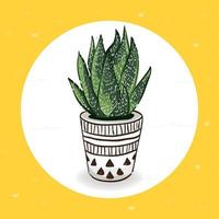 söt kaktus med handritningsstil vektor