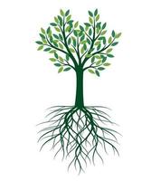 grüner Baum. Vektor-Illustration. vektor