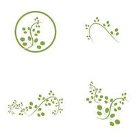 Moringa-Blatt-Logo-Illustrationsvektordesign vektor