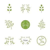 Moringa-Blatt-Logo-Illustrationsvektordesign vektor