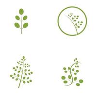 moringa leaf logotyp illustration vektordesign vektor