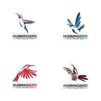 hummingbird logotyp design vektor mall