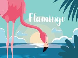 vackra flamingo fågelställ i landskapet vektor