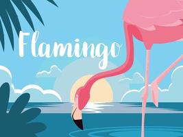 flamingo i vatten vektor