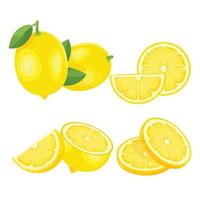 Uppsättning av gula citroner vektor