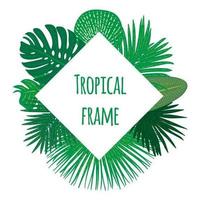Handritad tropisk ram vektor