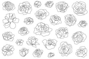 Vektorset von handgezeichneten, einzelnen durchgehenden Linienblumen - Rosen, Pfingstrosen. Kunst florale Elemente. Verwendung für T-Shirt-Drucke, Logos, Kosmetik- und Beauty-Designelemente.
