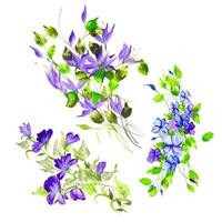 Blomsterarrangemang för vacker vattenfärg vektor
