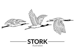 set stork fågel flyger tropiska tecknade vilda fåglar kranar handritad vektor