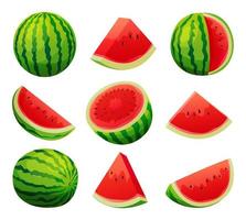 satz saftige wassermelone ganz, halb und geschnittene scheibenillustration lokalisiert auf weißem hintergrund vektor