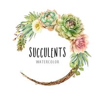 Aquarellkaktuskakteen und -succulents auf Rebekranz. vektor