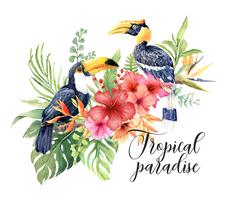 Akvarell tropisk Stor hornbill och Toucan i Hibiscus bukett. vektor