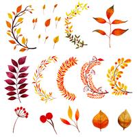 Schöne Aquarell Autumn Leaves Collection vektor