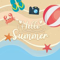 Hallo Sommermitteilung auf Sand mit Wasserball und Sandalen vektor