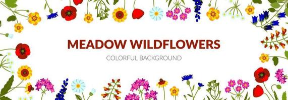 horizontales sommerbanner mit wildblumen, darunter glockenblume, schafgarbe, echinacea, mohn, löwenmaul, lavendel, damengeldbeutel, kornblume vektor