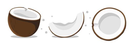 Kokosnuss-Satz von drei verschiedenen Typen, Vektorgrafik einzeln auf weißem Hintergrund