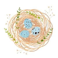 ett sött fågelbo med små ägg inuti. påskkort. våren bakgrund. ram, krans med en fjäder. vektor illustration. isolerad på en vit bakgrund.