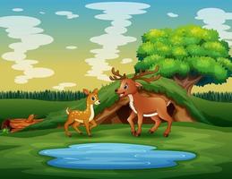 tecknad en mamma hjort med sin unge som leker nära dammen vektor